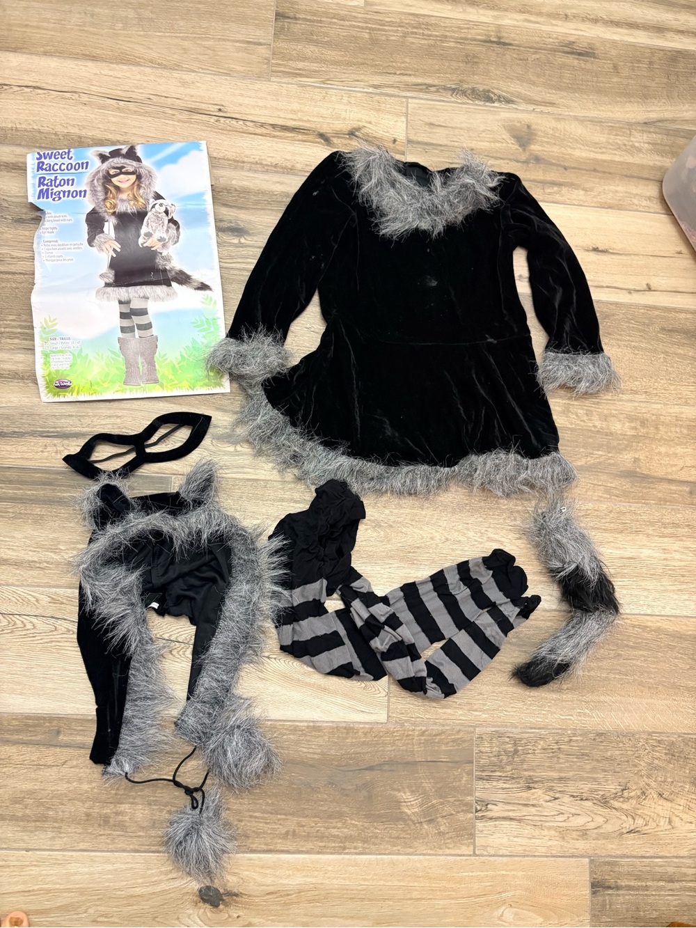 Girls Raccoon Costume